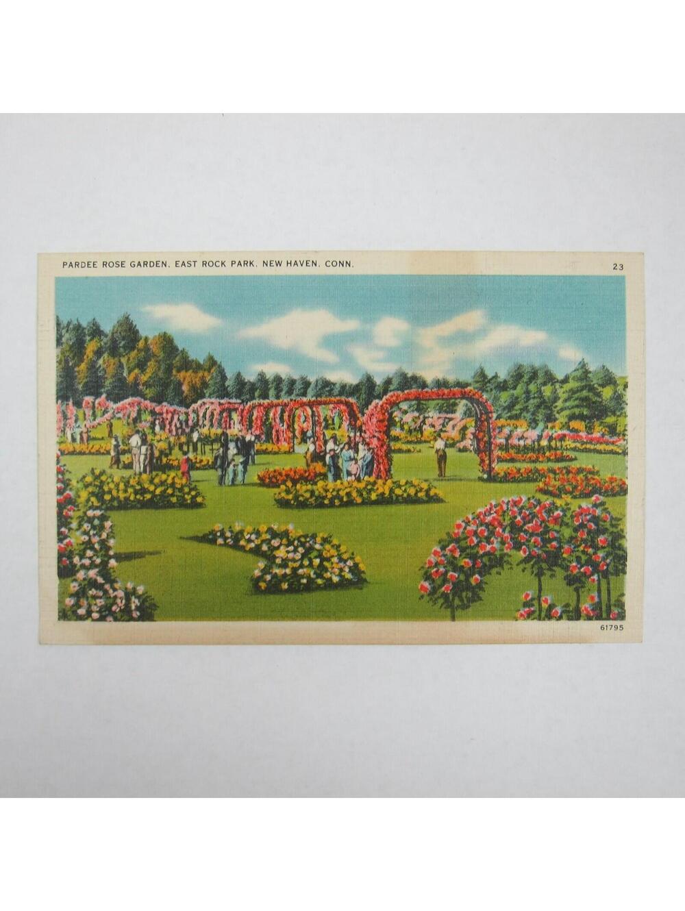 Vintage 1930-40s Linen Postcard New Haven Connecticut Pardee Rose Garden UNPOSTD